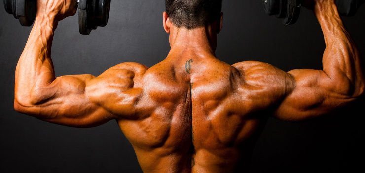 Musculação: porque malhar menos traz mais resultados?